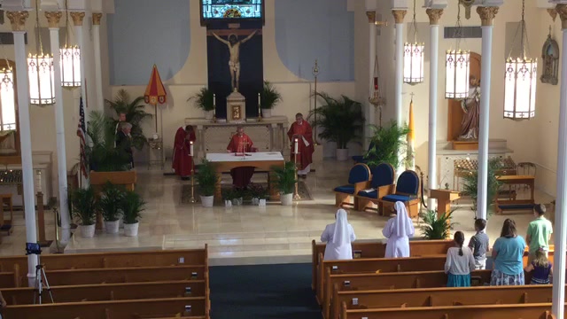 April 5, 2020 Palm Sunday Mass (Choir View)
Online Giving At:
https://www.osvonlinegiving.com/1491/Home/NewQuickGive